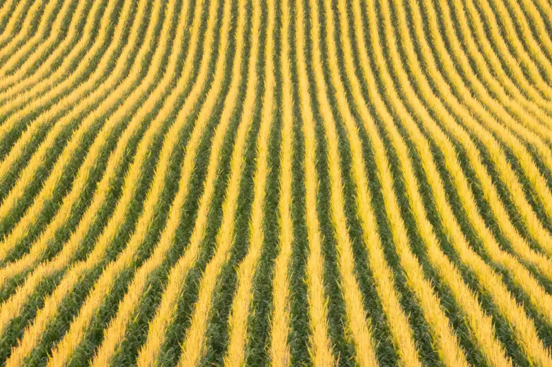 电子科�游戏设备型号参数对比:烽玩VGM系列与主流品牌差异分析